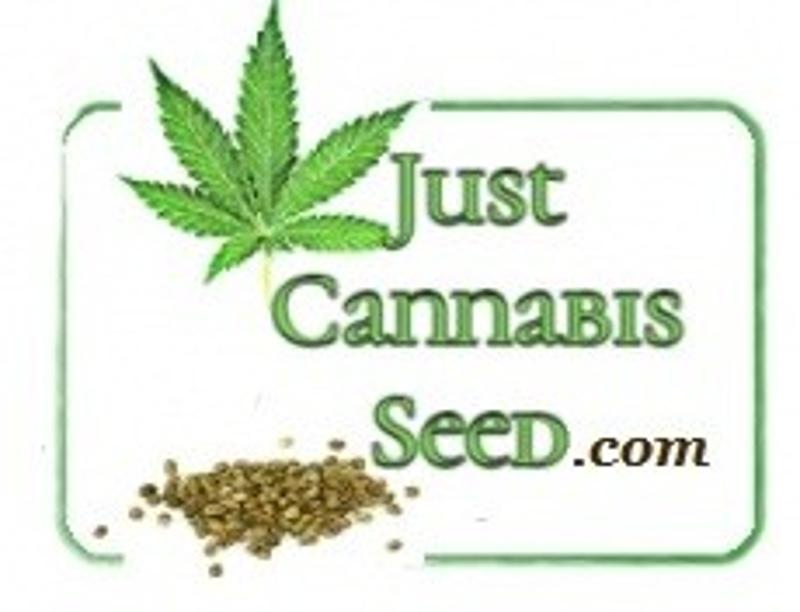 Great Genetics, best deal on the web!