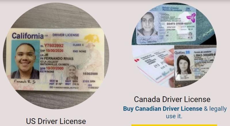 Buy Real Database Registered Driver License