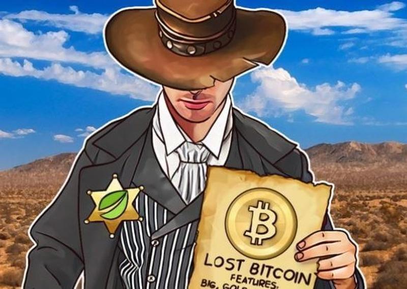 How To Get Back Lost Bitcoins from Scammer