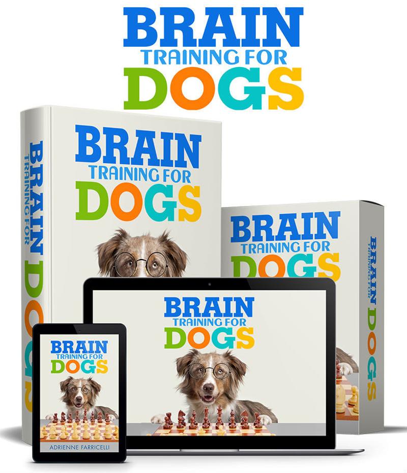 "Teach Your Dog Mind-Blowing Tricks with Brain Training!"