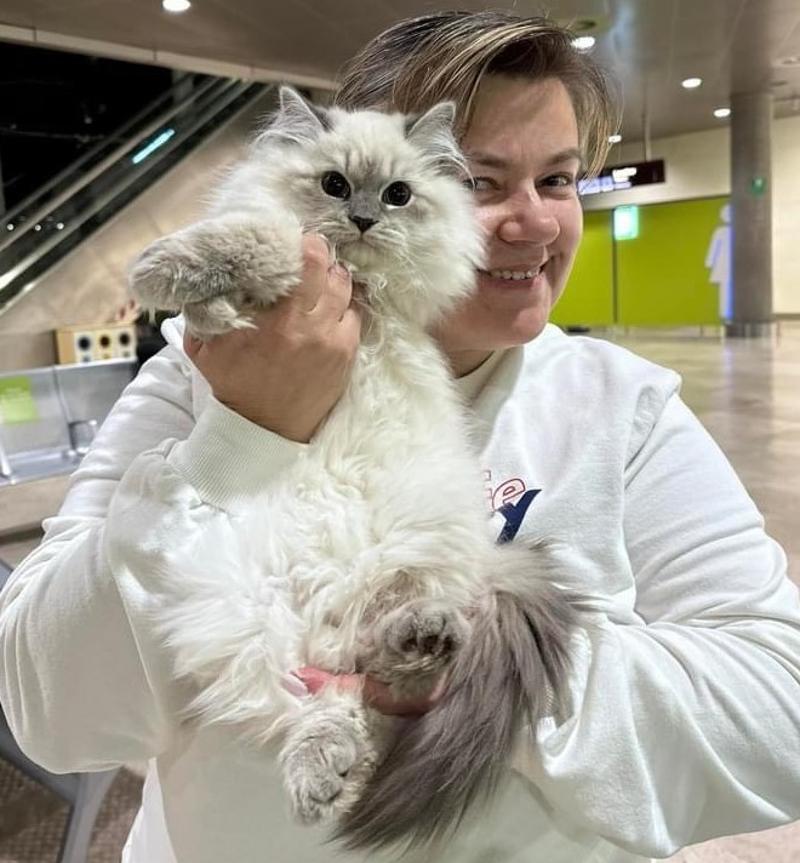 Siberian Kittens: Who Are We?