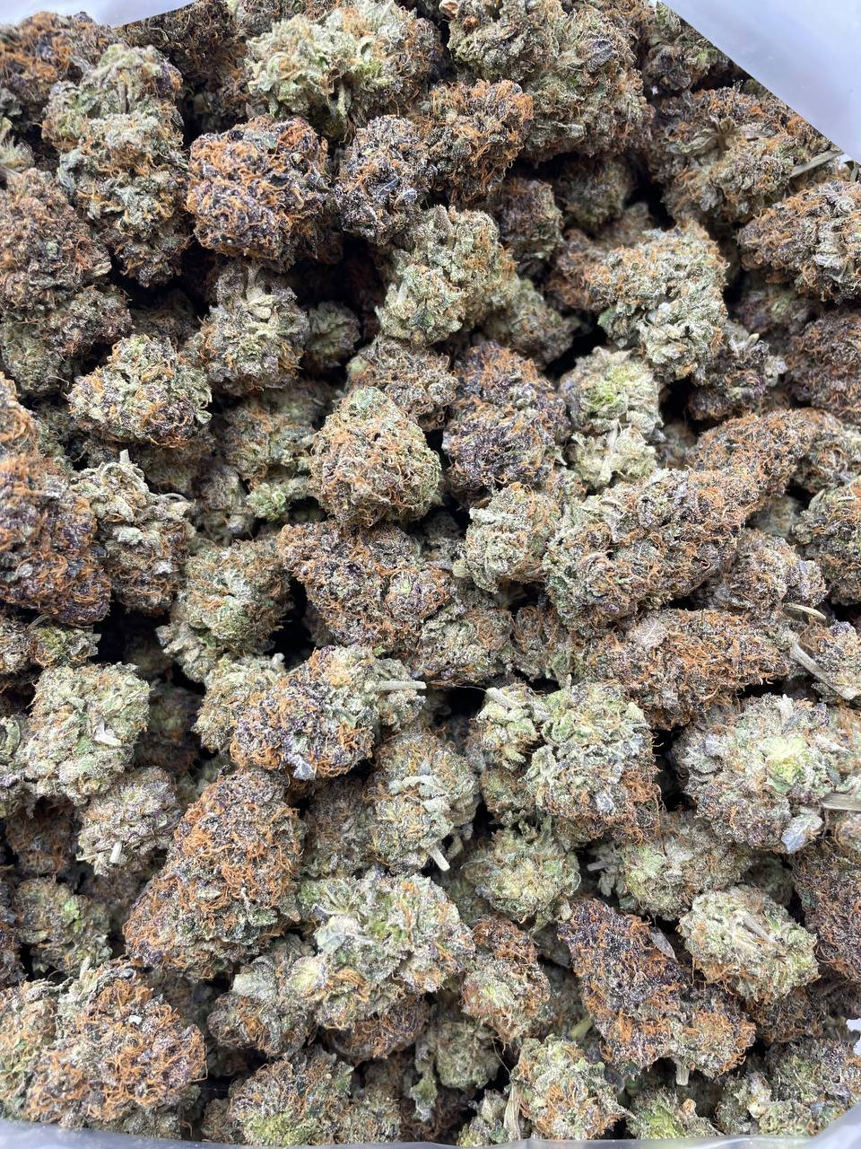 Buy Medical Marijuana