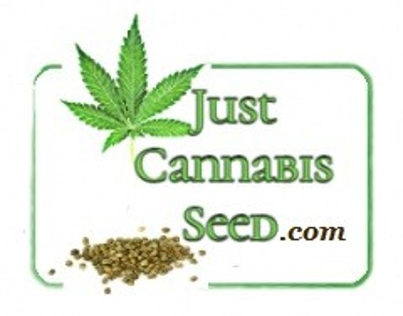 Win Free Pot Seeds justcannabisseed-com